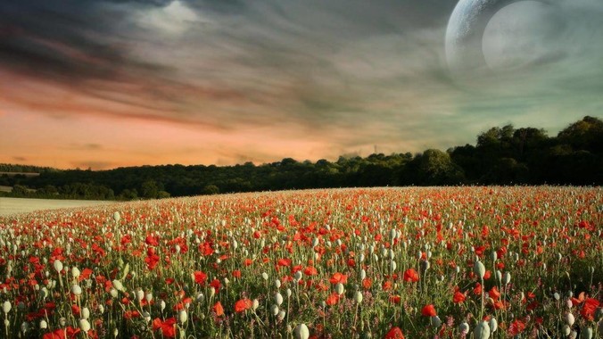 6月23号，美团优选突然关闭了，为什么?